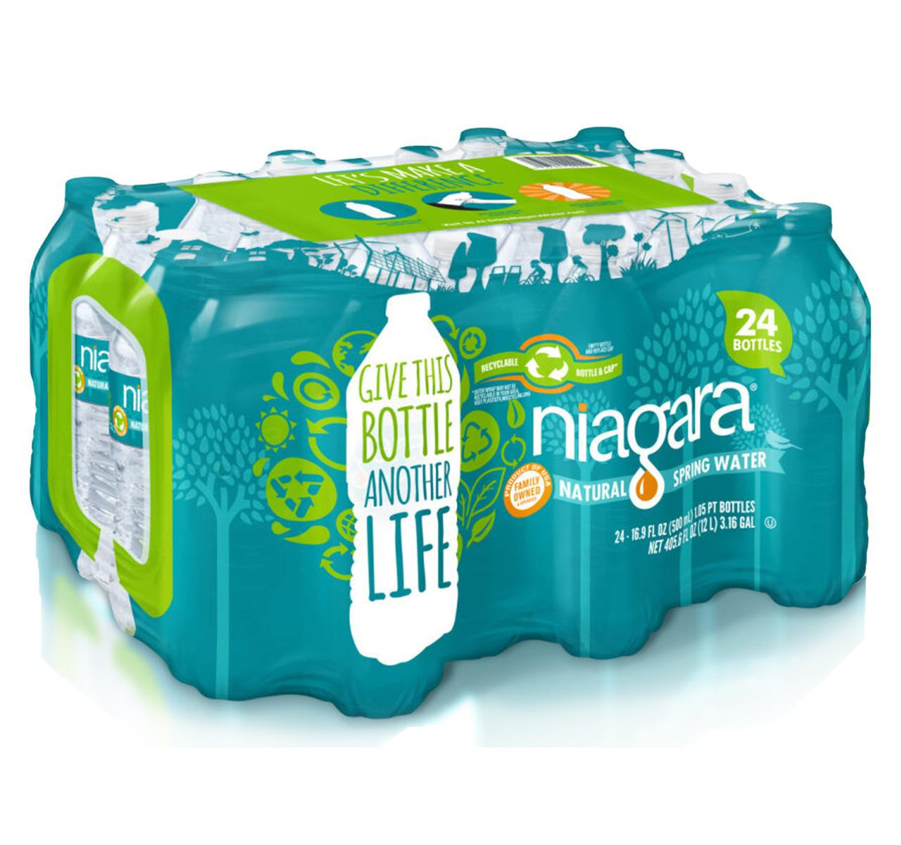 16.9oz Spring Water Case